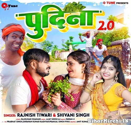 Pudina 2.0 (Shivani Singh, Rajnish Tiwari) 2022 Mp3 Song