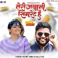 Teri Jawani Sigrate Hai (Awanish Babu, Anjali Raj) 2022 Mp3 Song