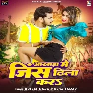 Aakhada Me Jins Dhila Kara (Bullet Raja, Alka Yadav)