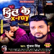 Dil Ke Xray (Gunjan Singh)