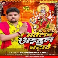 Malin Adhaul Chadhawe (Pradeshi Piya Yadav)