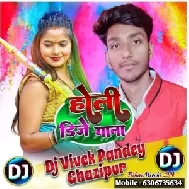 Dj Holi Remix Mp3 Song - 2024 (Dj Vivek Pandey)