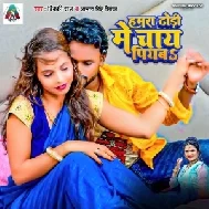 Hamra Dhori Me Chay Piyaba (Vicky Raj, Antra Singh Priyanka)
