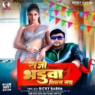 Raja Bhaduwa Nikal Gaya (Bicky Babua)