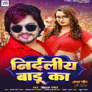 Nirdaliy Badu Ka (Vishal Gagan)