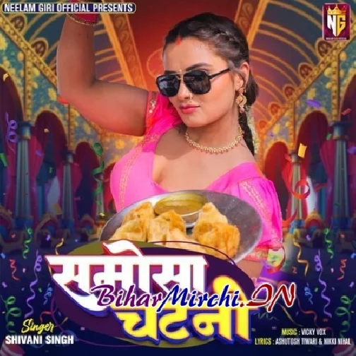 Samosa Chatni (Shivani Singh)