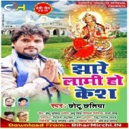 Jhare Lami Ho Kes (Chhotu Chhaliya) Mp3 Songs