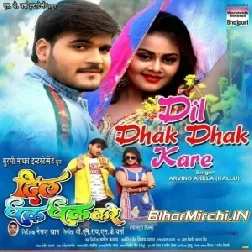  Dil Dhak Dhak Kare (Arivnd Akela Kallu) Mp3 Songs