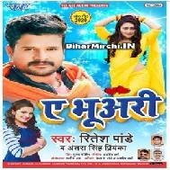 Ae Bhuari (Ritesh Pandey, Antra Singh Priyanka)