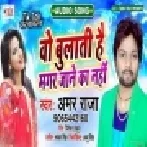 Wo Bulati Hai Magar Jaane Ka Nahi | Amar Raja | Mp3 Songs