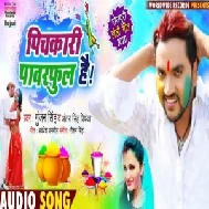 Pichakari  Powerful Hai | Gunjan Singh , Antra Singh Priyanka | 2020 Mp3 Songs