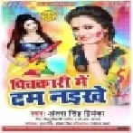 Pichkari Me Dum Naikhe | Antra Singh Priyanka | Mp3 Songs