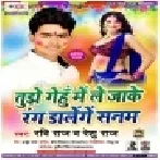 Tujhe Gehume Me Le Jake Rang Dalenge Sanam | Ravi Raj , Reshu Raj | Mp3 Song