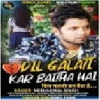 Dil Galati Kar Baitha Hai | Neelkamal Singh | Mp3 Sing