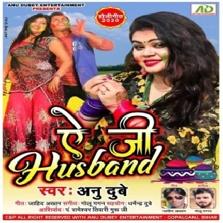 Dear Husband Suno Bajaar Jadi Jana Balam Ji Rang Lalke Le Aana Mp3 Song