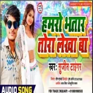 Hamar Bhatar Tora Lekha Ba | Sujit Tiger |  Mp3 Songs