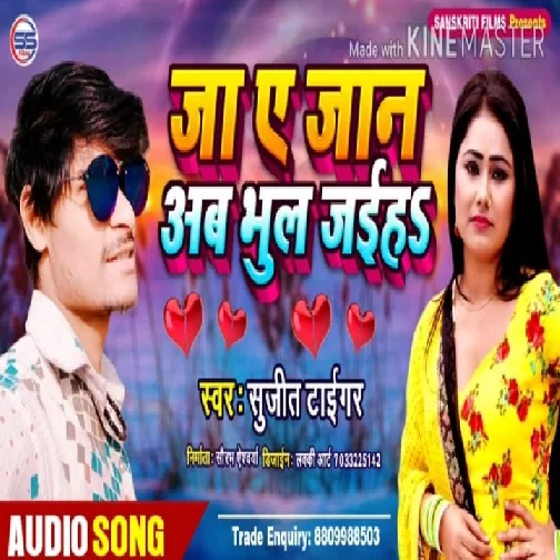 Ja Ye Jaan Ab Bhula Jaiha | Sujit Tiger | 2020 Mp3 Songs