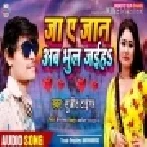 Ja A Jaan Bhula Jaiga | Sujit Tiger | Mp3 Songs