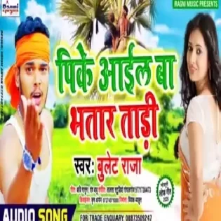 PK Aail Ba Bhatar Tadhi | Bullet Raja | Mp3 Song