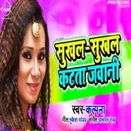 Saukhal Sukhal Kata Ta Jawani Mp3 Song