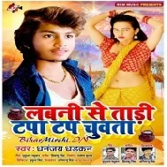 Labni se Tadi Tapa Tap Chuyata (Dhananjay Dhadkan) Mp3 Songs