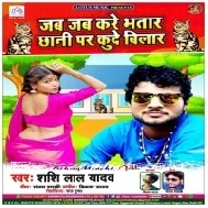 Jab Jab Kare Bhatar Chhani Par Kude Bilar (Shashi Lal Yadav)