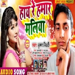 Hai Re Hamar Maliya (Krishna Nidardi) 2020 Mp3 Songs