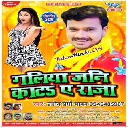 Galiya Jani Kata Ae Raja (Pramod Premi Yadav) 2020 Mp3 Songs