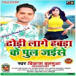 Dhodi Lage Habra Ke Pul Jaise (Bikash Balamua) 2020 Mp3 Songs