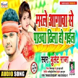 Marle Aagwa Se Pachhawa Dhila Ho Gail (Bullet Raja) 2020 Mp3 Songs