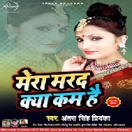 Mera Marad Kya Kam Hai (Antra Singh Priyanka) 2020 Mp3 Songs