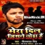 Mera Dil Jisne Toda Hai (Neelkamal Singh) Mp3 Songs
