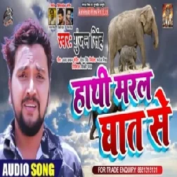 Haathi Maral Ghaat Se (Gunjan Singh) 2020 Mp3 Songs