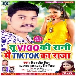 Tu Vigo Ki Rani Mai TikTok Ka Raja (Vishwajeet Vishu) 2020 Mp3 Song