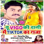 Tu Vigo Ki Rani Mai TikTok Ka Raja (Vishwajeet Vishu) 2020 Mp3 Song