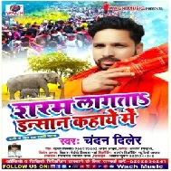 Sharam Lagta Inshan Kahaye Me (Chandan Diler) 2020 Mp3 Songs