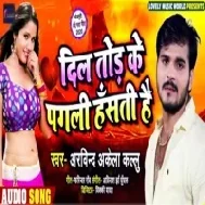 Dil Tod Ke Pagali Hansti Hai (Arvind Akela Kallu) Mp3 Song