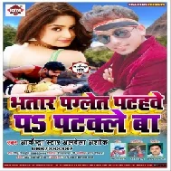 Bhatar Paglet Pathe Par Patkale Ba (Alwela Ashok) 2020 Mp3 Songs