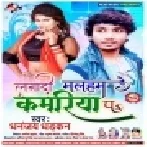 Lagadi Malham Kamariya Pa (Dhananjay Dhadkan) Mp3 Songs