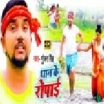 Dhaan Ke Ropai (Gunjan Singh) Mp3 Songs
