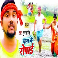 Dhaan Ke Ropai (Gunjan Singh) 2020 Mp3 Songs