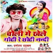 Choli Me Khele Goti Re Chhoti Nanadi (Dhananjay Dhadkan) Mp3 Songs