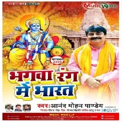 Bhagwa Rang Me Bharat (Anand Mohan) 2020 Mp3 Song