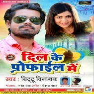 Dil Ke Profile Main (Bittu Vinayak) 2020 Mp3 Songs