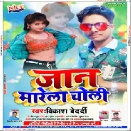 Jaan Marela Choli (Vikash Bedardi) Mp3 Songs