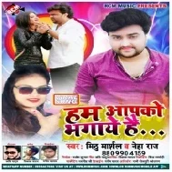 Hum Aapko Bhagaye Hai (Mithu Marshal, Neha Raj) Mp3 Song