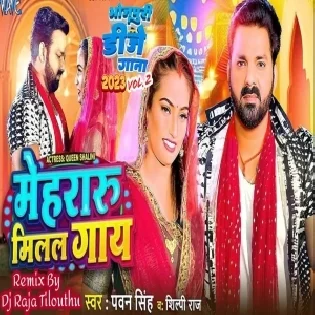 Mehari Milal Biya Hamara Ke Gay Ho Dada (Pawan Singh) Dj Vivek Pandey