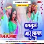 Balamua Maare Lagal Dj Song - Malaai Music ChiraiGaon Domanpur