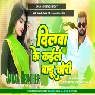 Dilwa Ke e Kaile Badu Chori - Song Neelkamal Singh - Seyan Bhailu - Anupama Yadav - Hard bass Dj Jauaa Brother