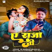 Ae Raja Ji (Dhananjay Dhadkan)